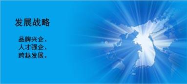 發(fā)展戰略 發(fā)展戰略